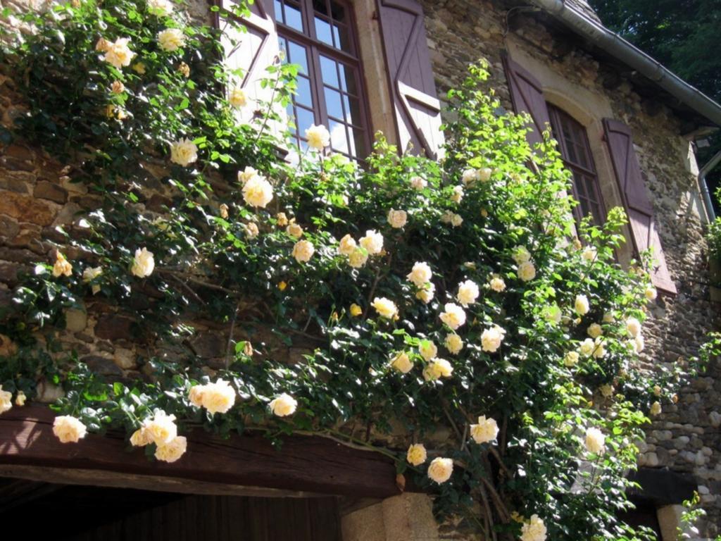 Chambres D'Hotes De Charme Le Pradel Monceaux-sur-Dordogne Bagian luar foto