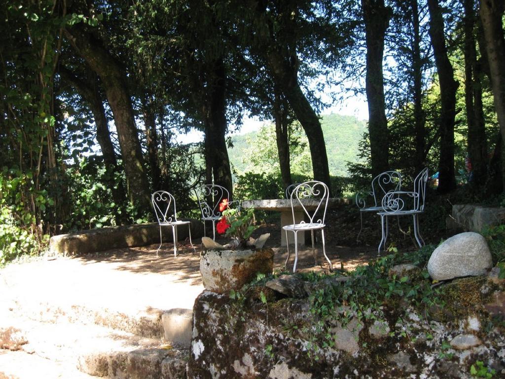 Chambres D'Hotes De Charme Le Pradel Monceaux-sur-Dordogne Bagian luar foto
