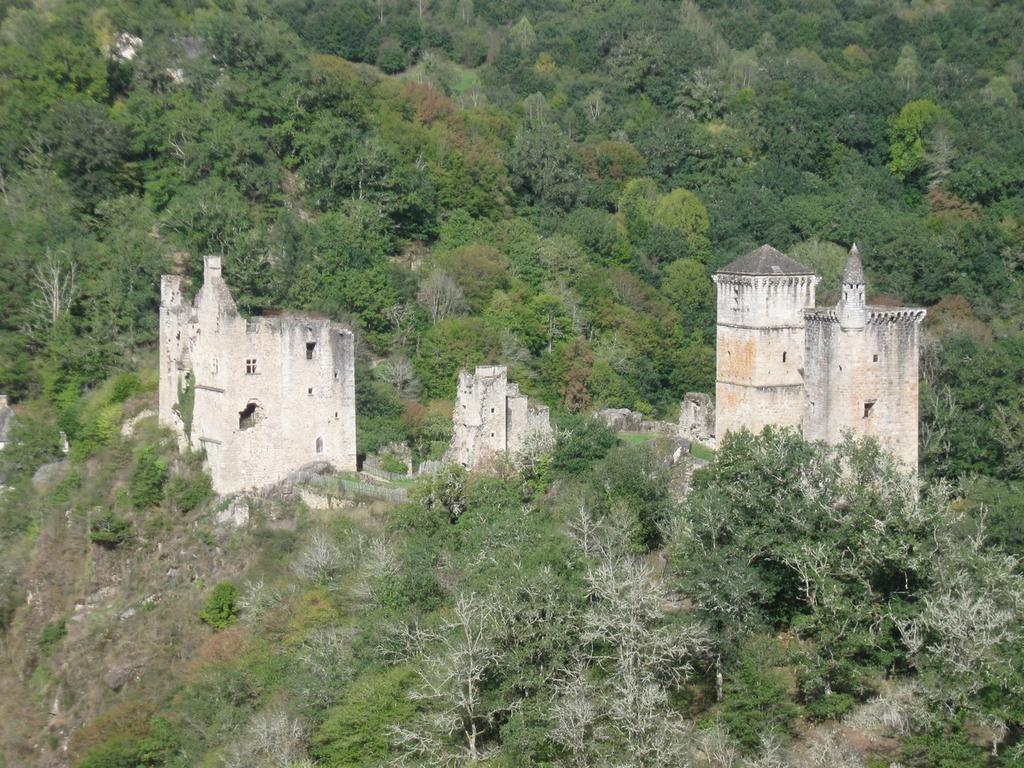 Chambres D'Hotes De Charme Le Pradel Monceaux-sur-Dordogne Bagian luar foto